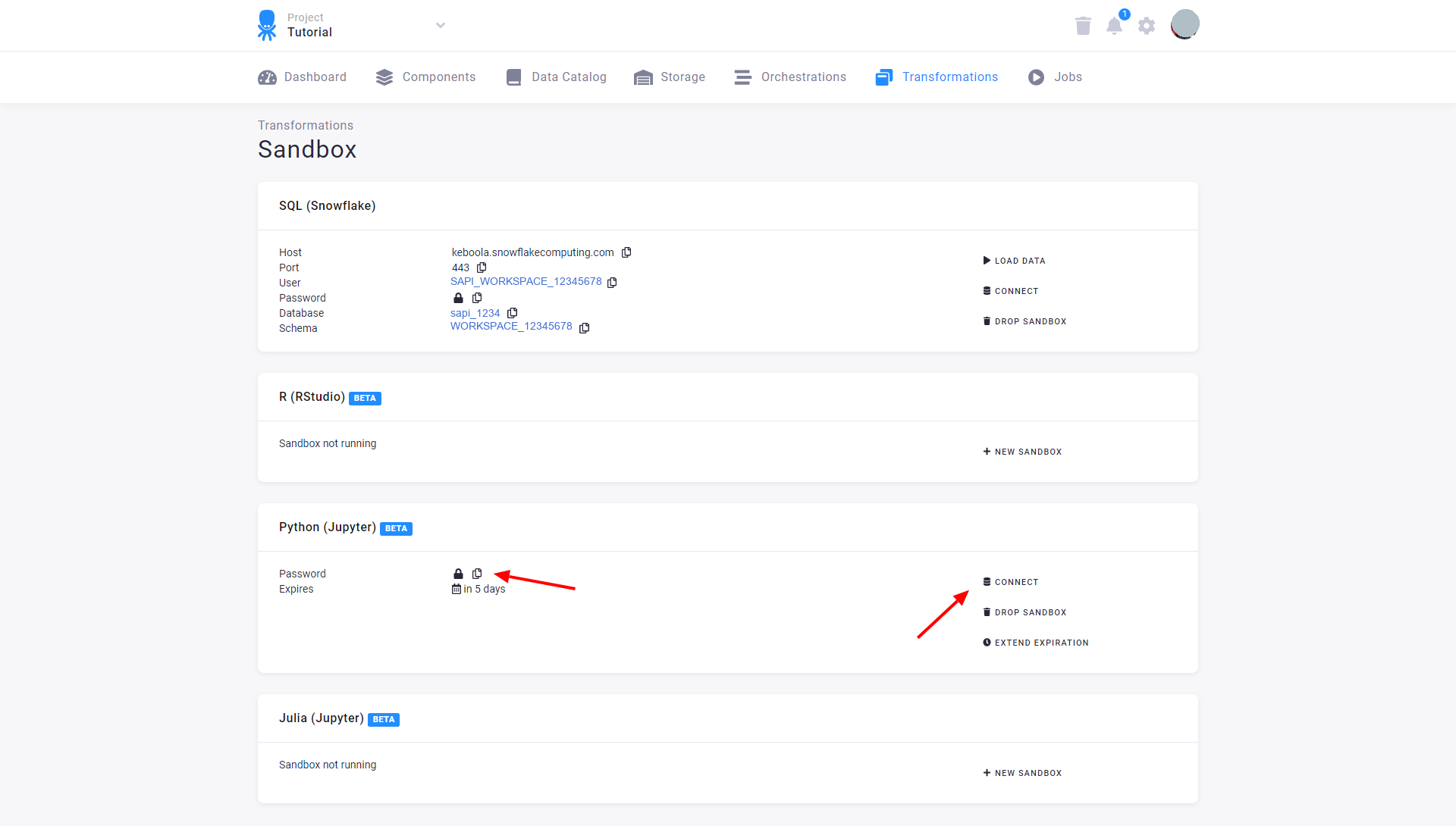 Screenshot - Sandbox Credentials