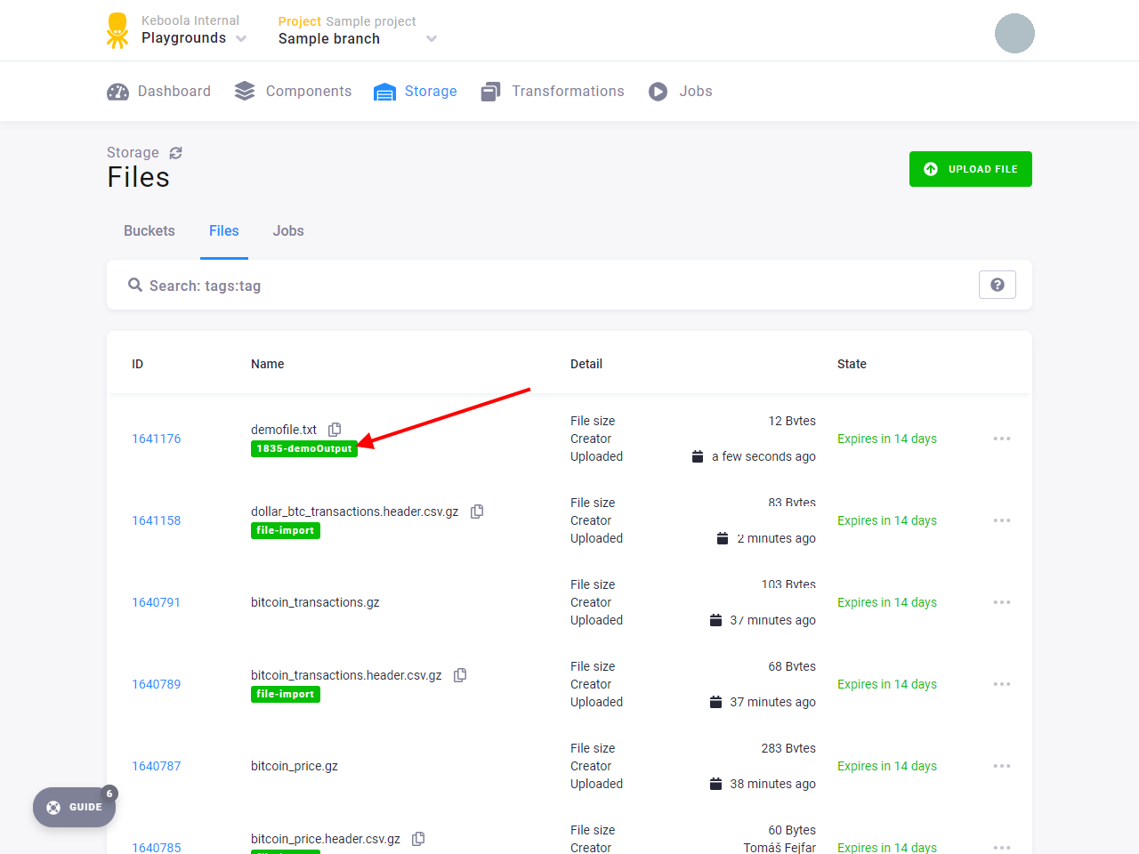 Screenshot - Development Branch Output