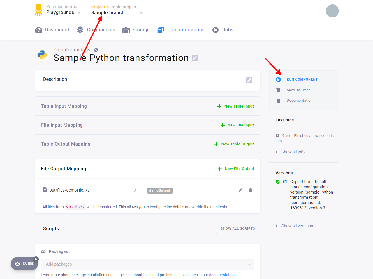 Screenshot - Run Transformation in Development Branch